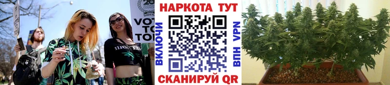 Купить наркотики сайты Каменногорск ГЕРОИН Конопля Alpha PVP Мефедрон Гашиш
