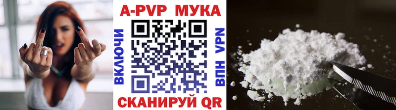 A PVP СК  Каменногорск 