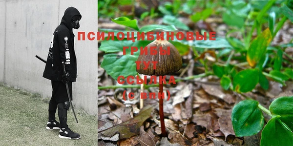 ГАЛЛЮЦИНОГЕННЫЕ ГРИБЫ Баксан