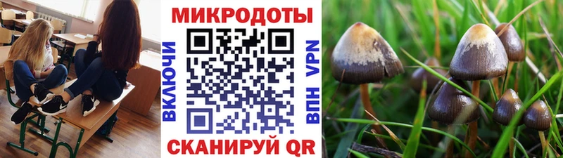Псилоцибиновые грибы Cubensis  наркошоп  Каменногорск 