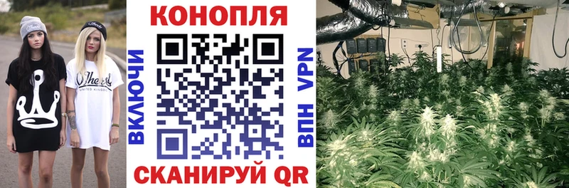 Шишки марихуана VHQ Каменногорск